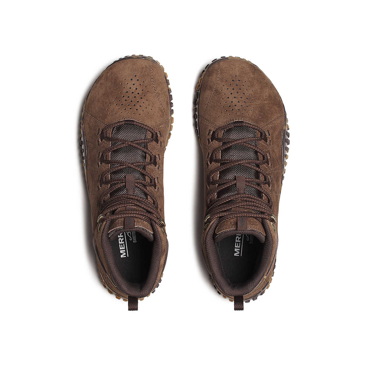 Wrapt Mid WP Mole Men